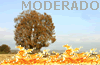 Fire Weather Index: MODERATE